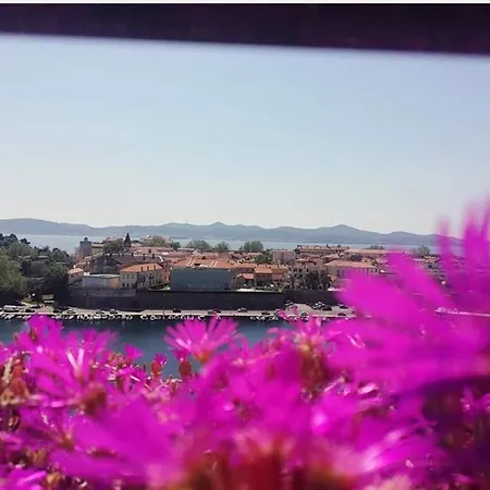 City Bridge * Ζαντάρ